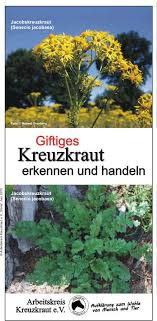 We did not find results for: Flyer 10 Seiten Giftiges Kreuzkraut Erkennen Und Handeln Ak Kreuzkraut E V