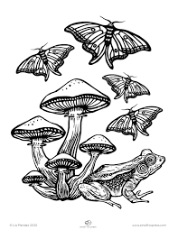 Maybe you would like to learn more about one of these? Small Fox Press Free Printable Coloring Pages