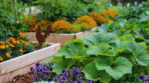 There's some wonderful history behind when you start brainstorming ideas for your garden you'll need to make sure you're planting it in the right place. Vegetable Gardening In A Small Space