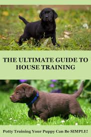 How To Potty Train A Puppy Easy To Follow Steps And
