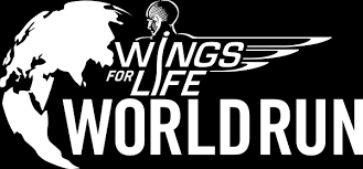 Relive the highlights of wings for life world run 2020. Zapolniti Dati Skupaj Uporablja Se Wings For Life Paket Greginmotion Com