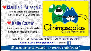 Clinimascotas Cartago