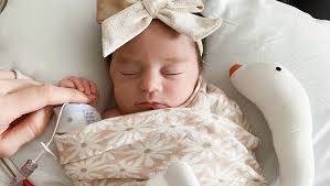 Fundraiser for Courtney Gonzalez by Camryn Howard : Donate in memory of  Violet