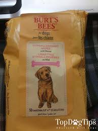The Importance Of Cleaning Dog S Ears Top Dog Tips
