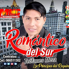 Teófanes Meza Romántico del sur