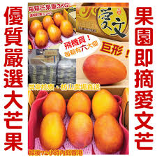中華民國教育部版權所有© 2015 ministry of education, r.o.c. å°ç£å±æ±æž‹å¯® æž‹å±±æ„›æ–‡èŠ'æžœ