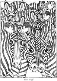 You should color the zebra according to the real colors of zebra which are black and white but let's start with coloring the background of the picture. Pin On Color Pages