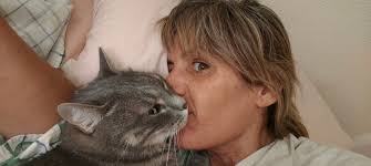 Pet sitting services in Noosa available