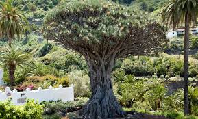 Quiz #4: Fjell, trær og Lord Nelsons høyre arm