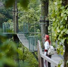 Desa wisata brayut merupakan salah satu dari beberapa desa wisata yang cukup menarik di jogja. 50 Tempat Wisata Jogja Populer 2021 Lokasi Dan Harga Tiketnya