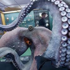 A legend from the deep awakens. Are The New Seattle Kraken Jerseys Good Pension Plan Puppets
