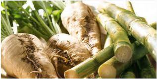 It does not melt as smoothly or caramelize as readily, and in baked goods it anyone have experience with using pure cane sugar vs regular granulated sugar? China Expansion In Beet And Cane Sugar Production Increases 2018 19 Output