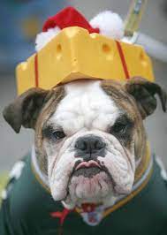 Cheesy Christmas English Bulldog Puppies Bulldog English Bulldog Funny