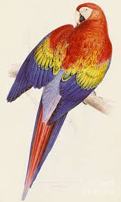 More images for primary colors drawing » Primary Colors Drawings Fine Art America