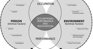 3 the peo is an occupation based model that is used when treating a t1 sci t occupational therapy occupational therapy assistant what is occupational therapy