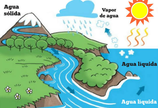 El Ciclo del Agua: Explicación Fácil, Fases y Dibujos - MamaFlor.com