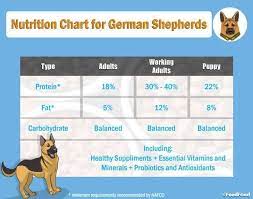 Stick to the german shepherd puppy feeding chart below. Feed For German Shepherd Puppy Pasteurinstituteindia Com