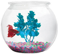 Live plants are not only great for your fish, they present an awesome view. Top 5 Coolest Fish Bowls Of 2018