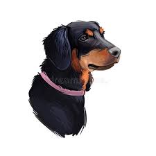 Image result for slovenský kopov