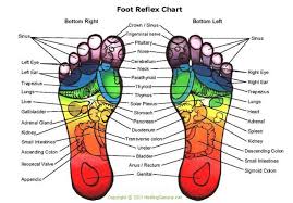 Rainbow Feet Reflexology Plexus Products Foot Reflexology