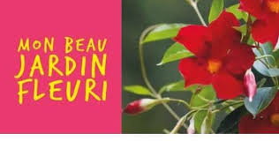 Gamm vert boulogne sur gesse. Gamm Vert Liste Des Magasins Points De Vente Avis Codes Promo