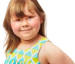 ANNUAL REPORT 2012-2013