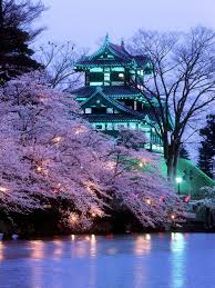 Japan I Want To Go See This Place One Day Please Check Out My Website Thanks Www Photopix Co Nz Beautiful Places Cherry Blossom Japan Wonders Of The World