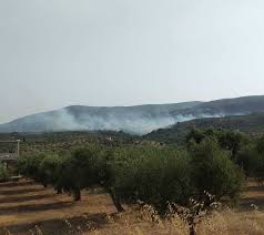 Παρότι η φωτιά στη βαρυμπόμπη ήταν σε ύφεση, νέα διπλή αναζωπύρωση στην περιοχή σήμανε συναγερμό. Xz7dga6cgyyunm