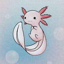 Get all of hollywood.com's best movies lists, news, and more. Axolote Icon Axolotl Cute Cute Kawaii Drawings Cute Animal Drawings