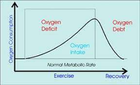 Exercise And Oxygen Deficit Vs Oxygen Debt Oxygen Plus