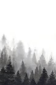 Black Forest I In 2021 Black And White Art Drawing Black And White Landscape Forest Art