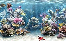 Fish Tank Background Printable 50 Best Aquarium Backgrounds Aquarium Backgrounds Aquarium Live Wallpaper Easy Portrait Drawing