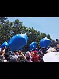 Luis Rigual (@luisrigualn)