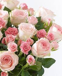 Per il compleanno della persona amata, di un amico o di un parente, regala un bouquet di un'altra alternativa a un mazzo di fiori per compleanno potrebbe essere una scatola di cioccolatini o una bottiglia di spumante per brindare e. Bouquet Di Rose E Roselline Rosa Interflora Italia Bouquet Di Rose Fiori Di Compleanno Rose Belle