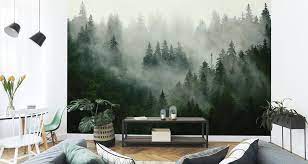 Wald tapete wassermhle wasserfall gebirgsbach tuschend echte waldfototapete direkt online kaufen unsere ablufe nicht ausschlieen. Muralo Fototapete Wald Im Nebel 405 B X 270 Kaufland De