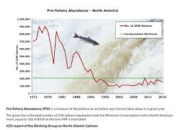 The Number Of Atlantic Salmon Returning To N E Canada