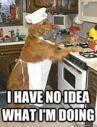 Amateur couple have fun in the kitchen. 71 Cooking Humor Ideas In 2021 Humor Bones Funny Cooking Humor