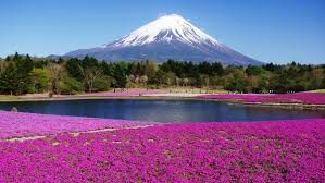 Find images that you can add to blogs, websites, or as desktop and phone wallpapers. Japan Mount Fuji 2019 Hd Desktop Wallpapers Yl Computing