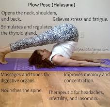 Yoga maintains healthy glands and regulates metabolism. Benefits Of Plow Pose Yoga Ashtanga Yogatips Yoga Benefits How To Do Yoga Yoga For Stress Relief