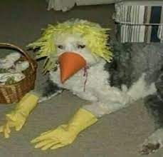 Beautiful, free images gifted by the world's most generous community of photographers. 150 Cursed Images Ideas Cursed Images Cursing Image