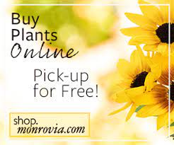 Expert recommended top 3 florists in murfreesboro, tennessee. Garden Center Martin S Home Garden Murfreesboro Tn