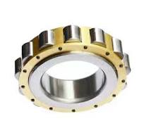 Bearing Rn205e Rn205m Cylindrical Roller Bearing 25X45X15mm