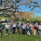 Poinciana Tree Planting at Miami Springs