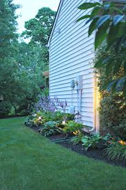 But be careful with the blue varieties that have a waxy coating that can melt off in too much sun, resulting. My Free Hosta Garden And How To Get One Thrifty Decor Chick