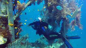 And clearly, it's pretty popular — the israeli diving federation, israel's own certification agency, reports that there are a quarter million dives every year out of eilat, and diving represents 10% of the tourism income in this area. Scuba Diving In Eilat Israel Youtube