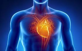 More news for how to know if you have blocked arteries » 5 Signs That Your Arteries Are Clogged Geelong Medical Health Group
