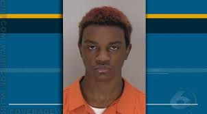 Student arrested for bringing BB gun