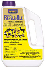 rabbit repellent natural options in