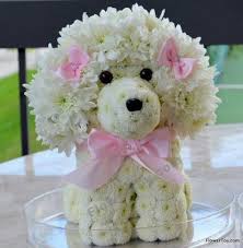 Floral Poodle Unique Flower Arrangements Animal Flower Arrangements Flower Arrangements