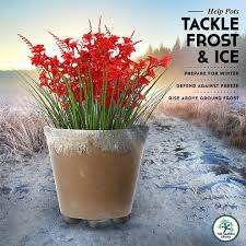 Maybe you would like to learn more about one of these? The Garden Gecko Invisible Pot Feet For Outdoor Plant Pots And Flowers High Quality Solid Rubber Pot Risers With Enhanced Non Slip Surface Grip On Onbuy